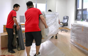 ʮ�߸��ٰ���